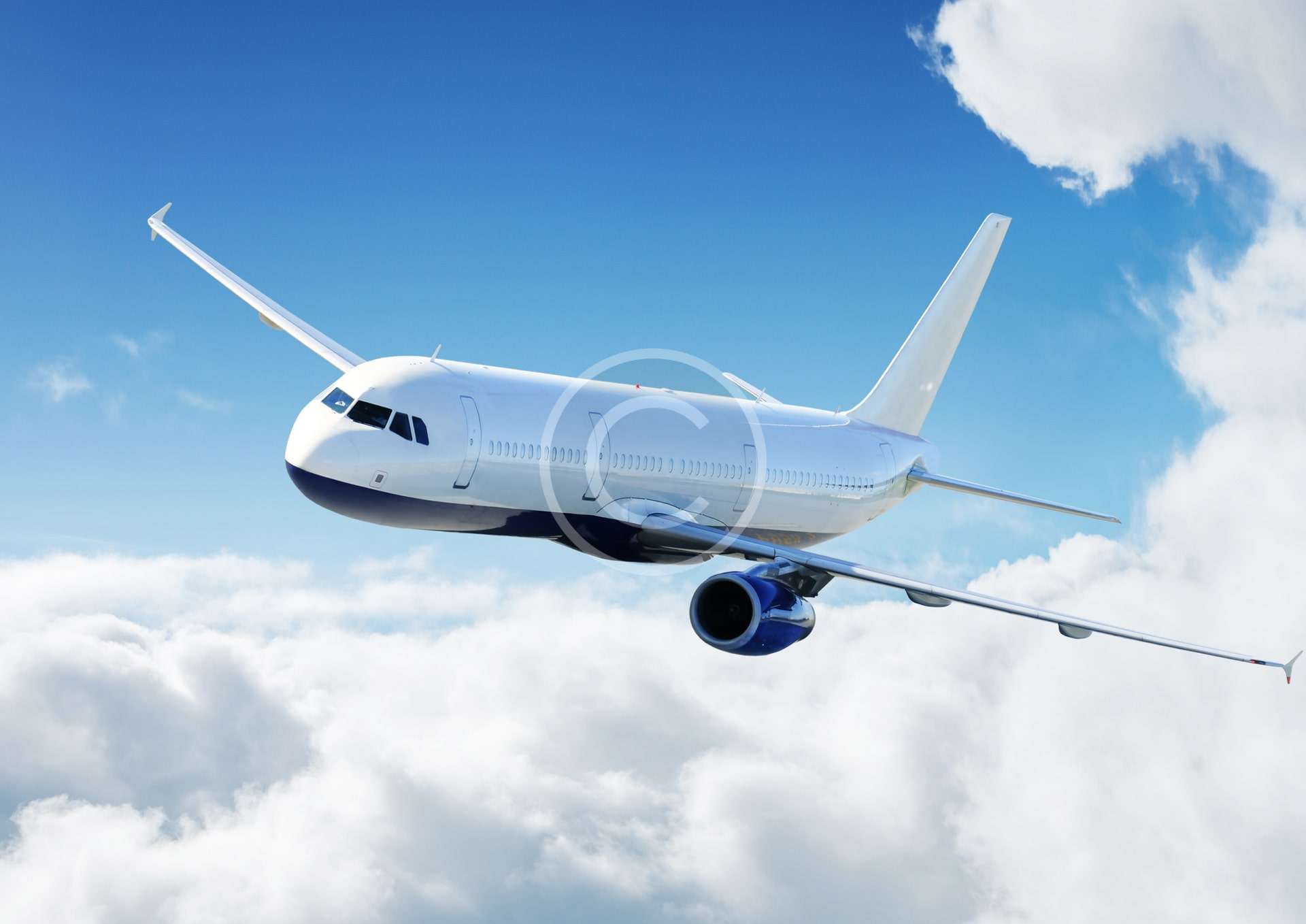 Airport & Port Transfers